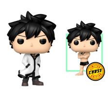 FUNKO POP Gray 2287 - Fairy Tail Opción Chase Opción Aleatoria - 889698906395